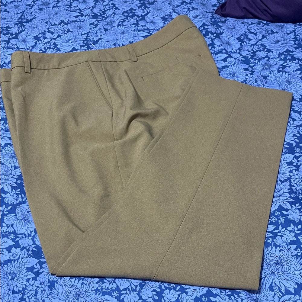 Tahari ASL Tan Straight Leg Pants